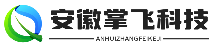 安徽掌飞科技有限公司